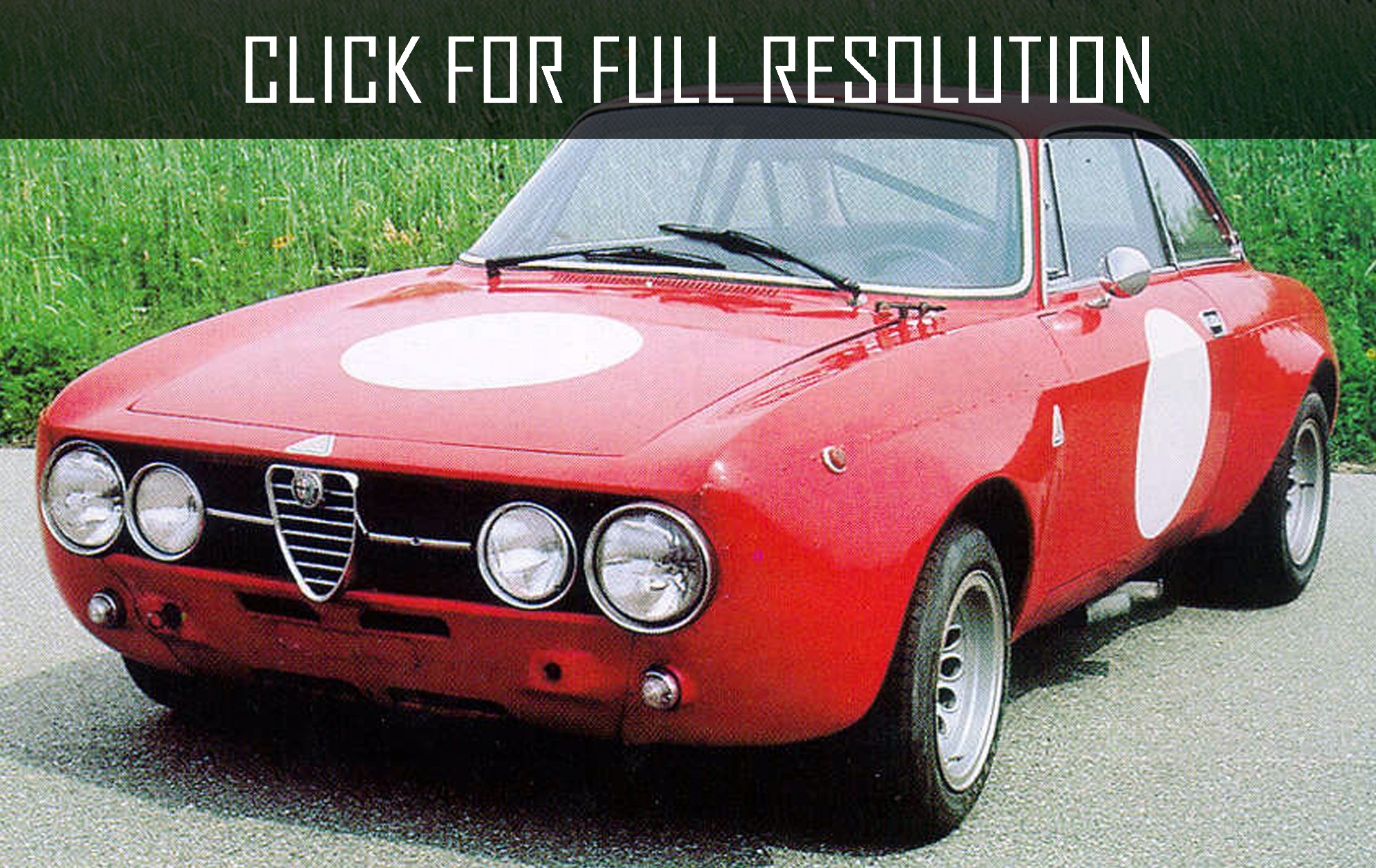 Alfa Romeo 50