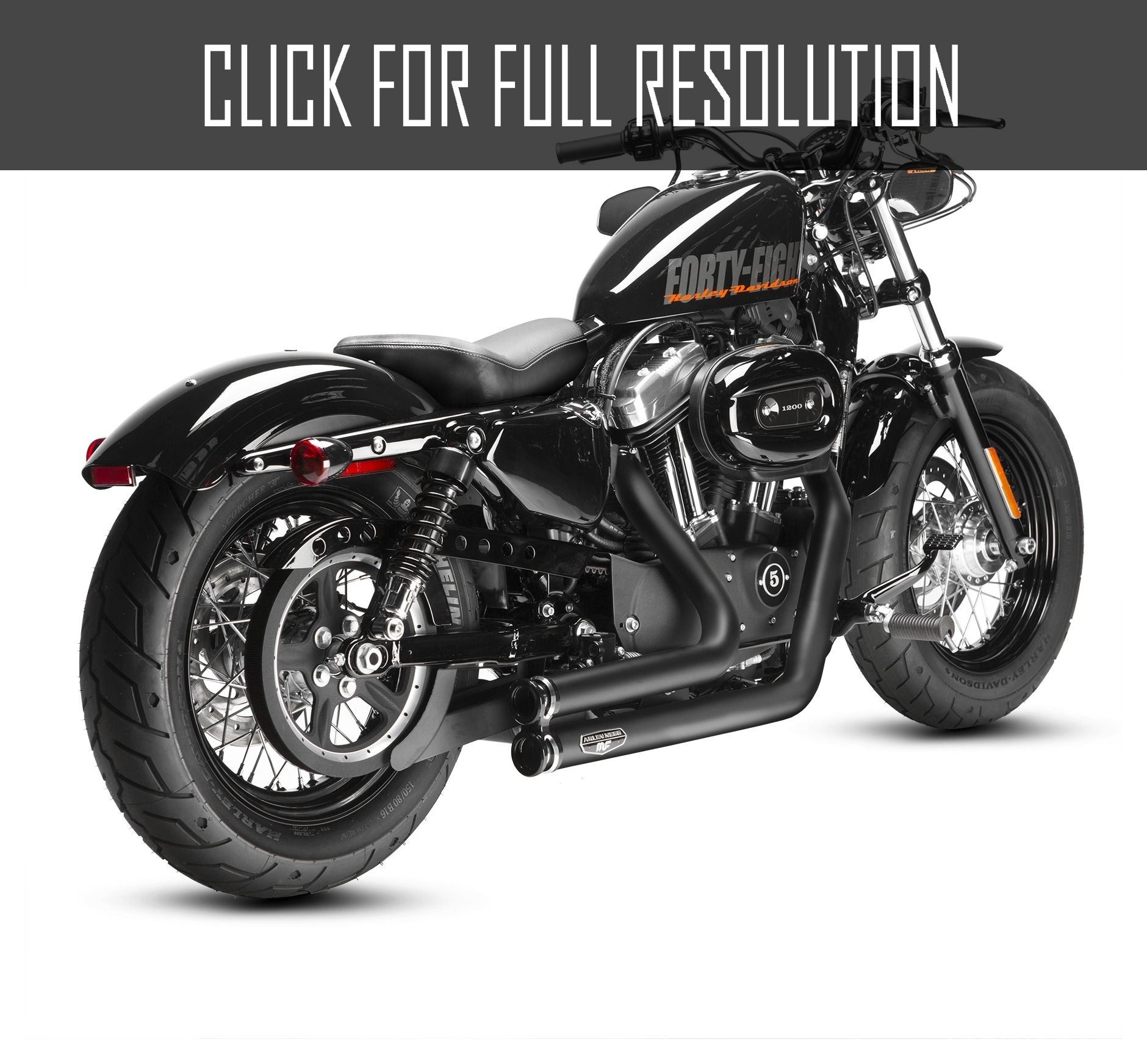 Arlen Ness Harley Davidson