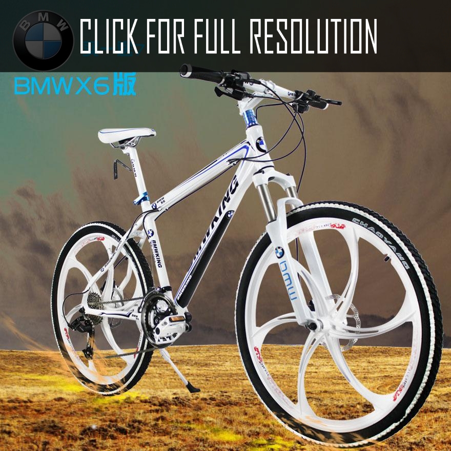 Bmw Bicycle