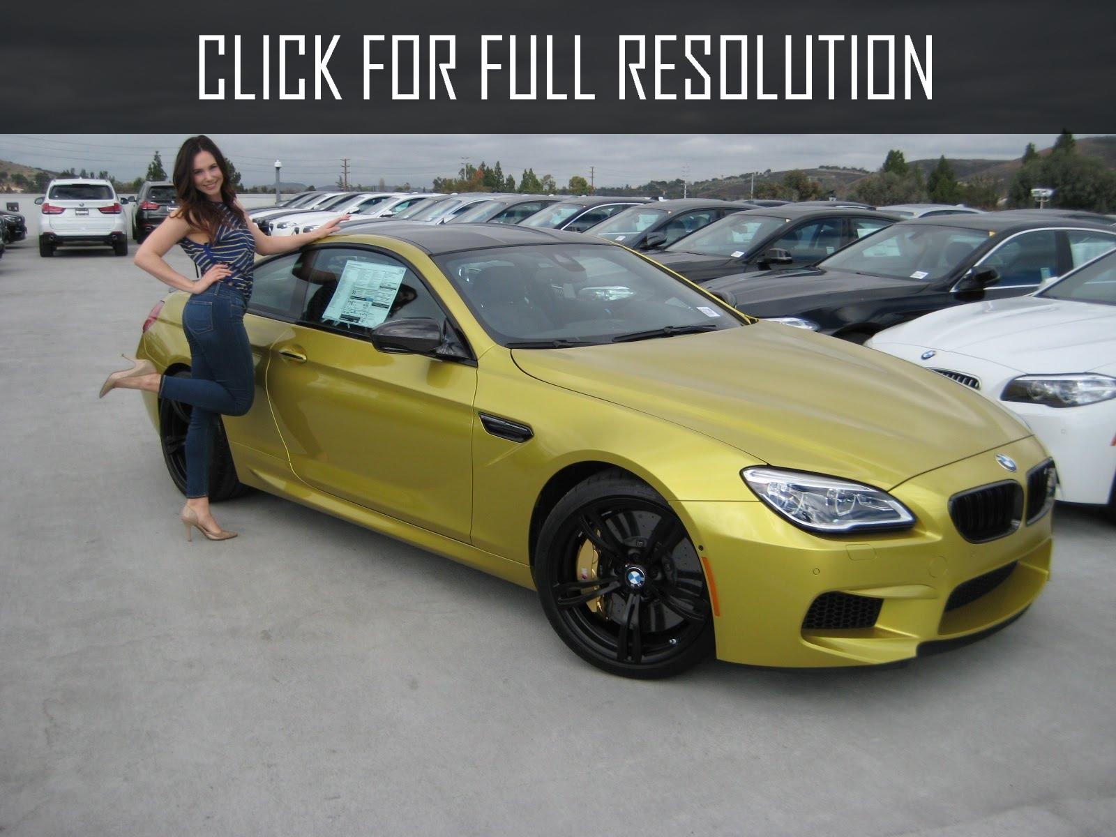 Bmw M6 Competition Edition