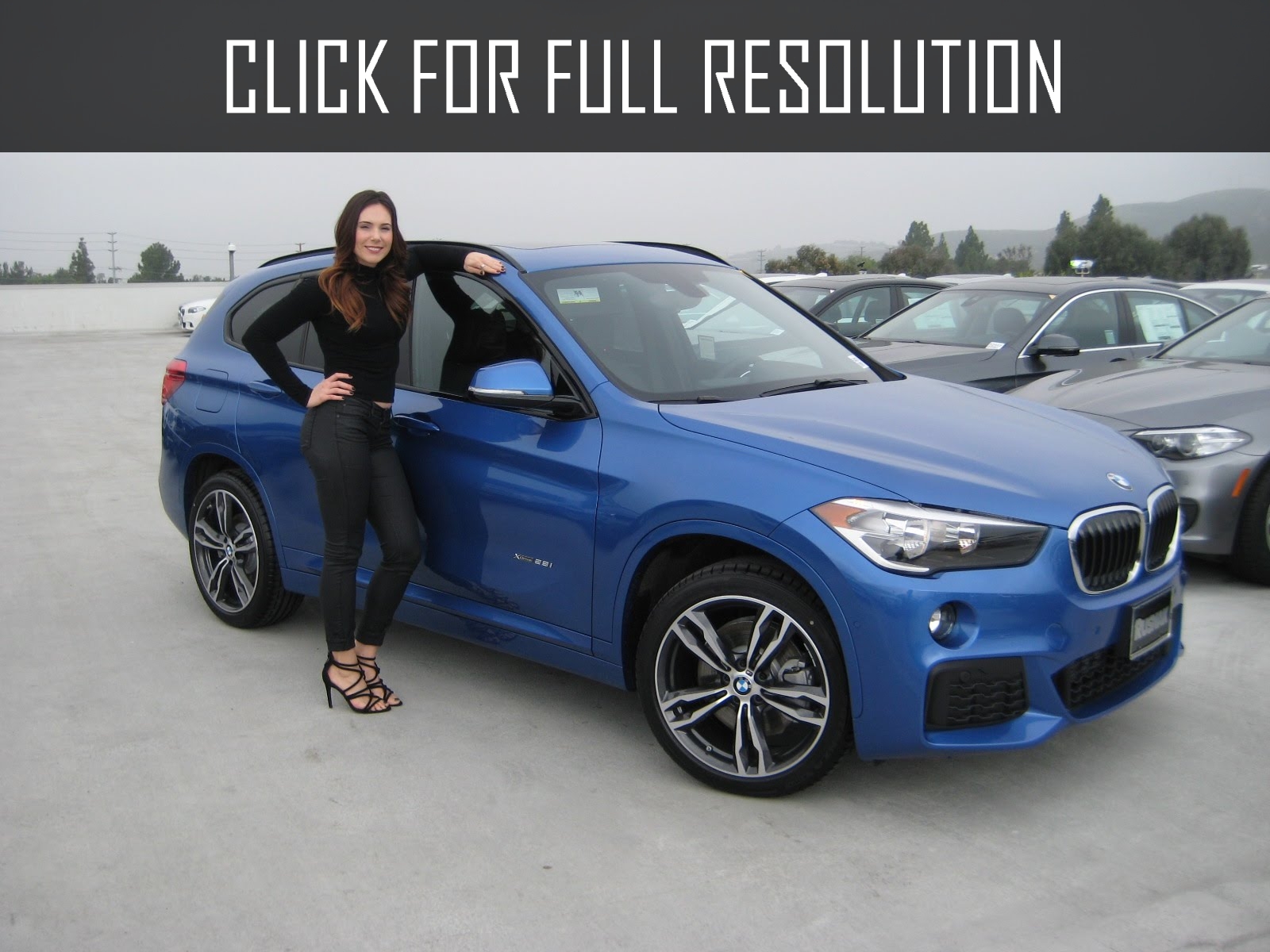 Bmw X1 Blue