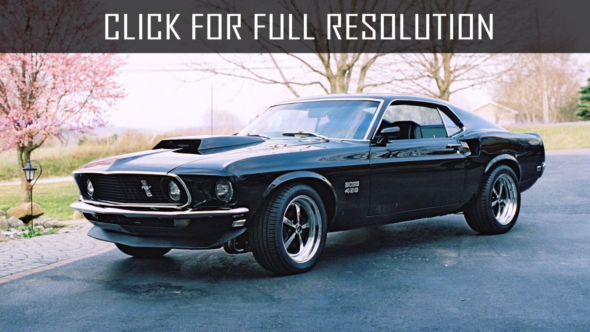 Ford Mustang 429 Boss