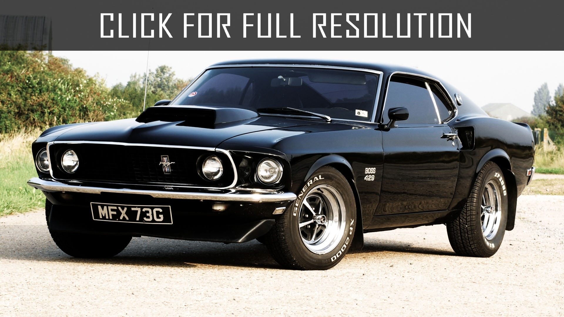 Ford Mustang Boss 429