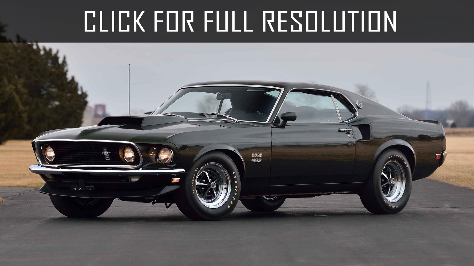 Ford Mustang Boss 429