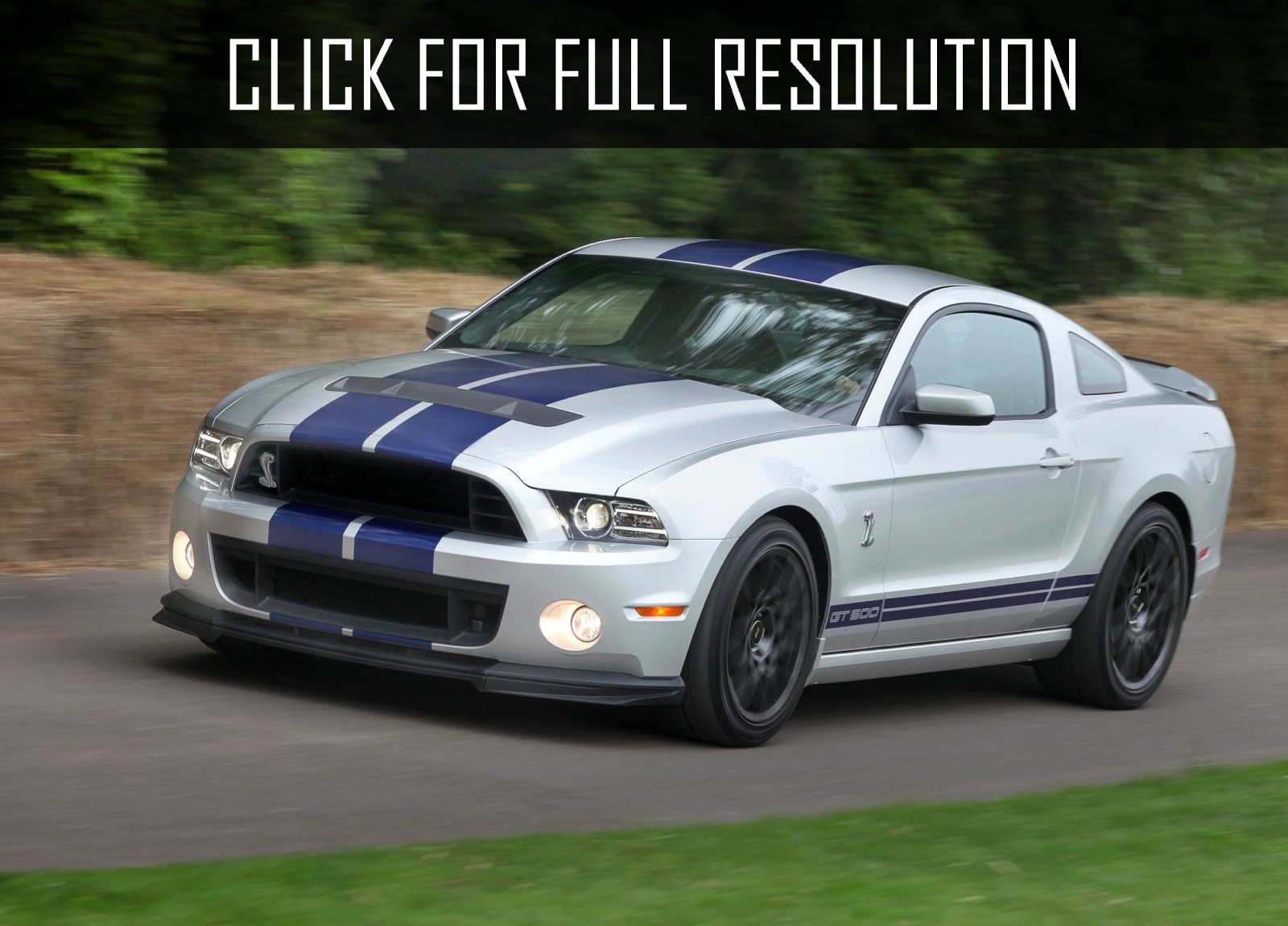 Ford Shelby Mustang 2014
