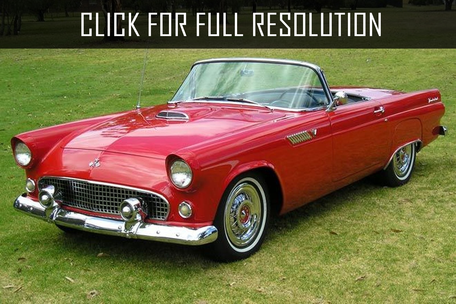 ford tbird for sale