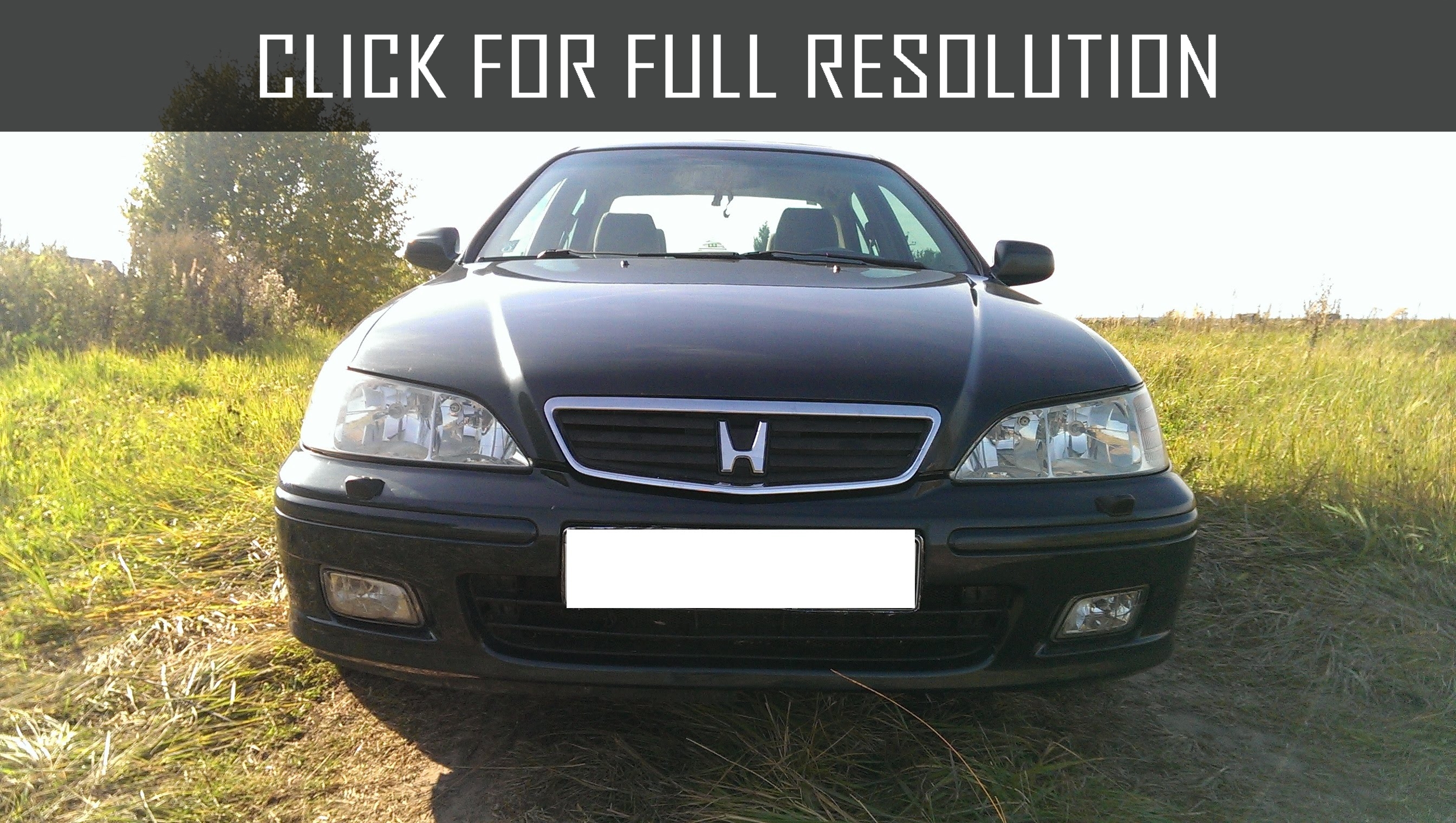 Honda Accord Vi