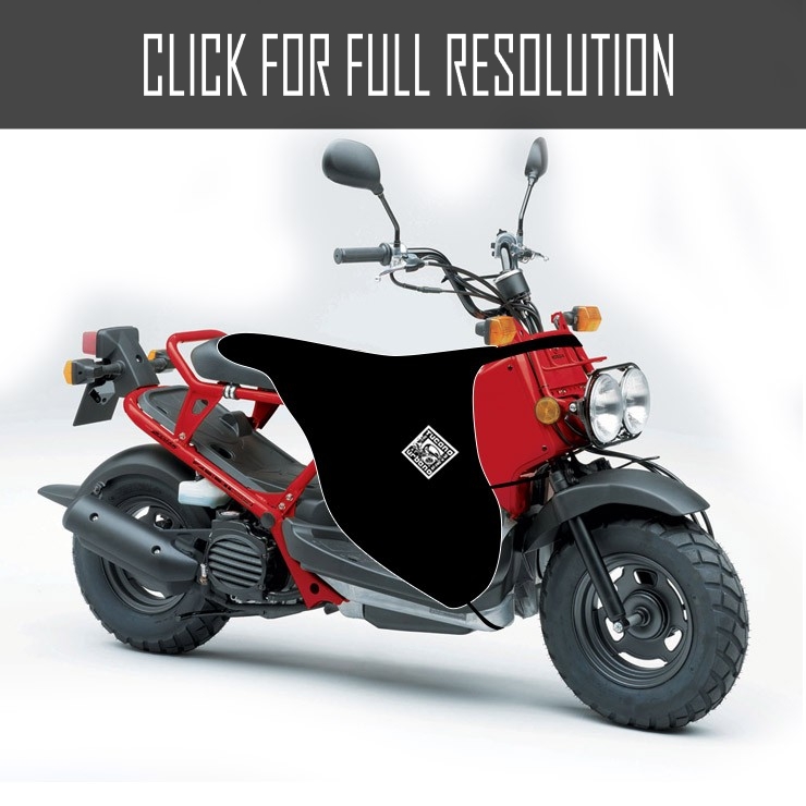 Honda Zoomer Scooter