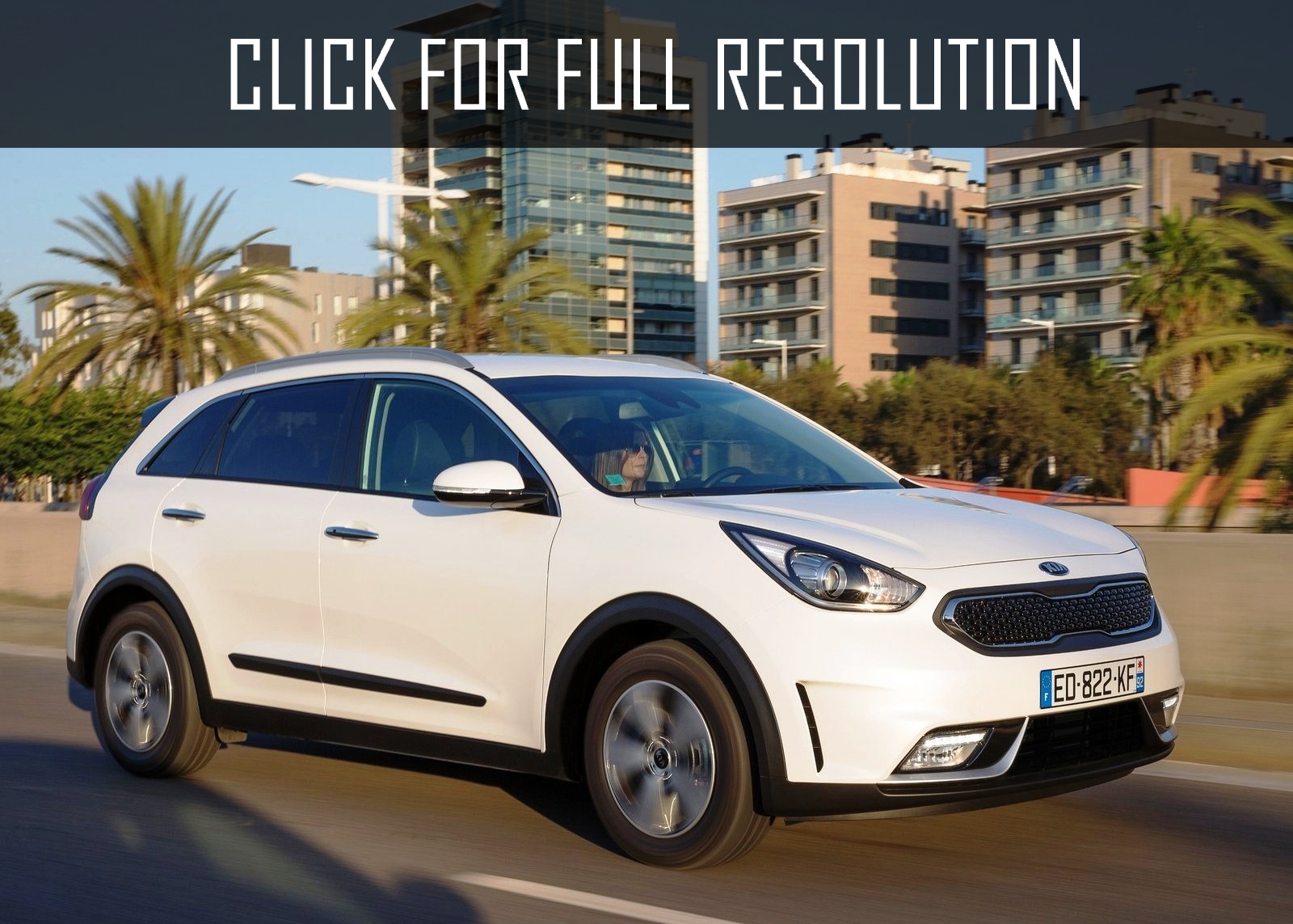 Kia Niro White amazing photo gallery, some information and specifications, as well as users
