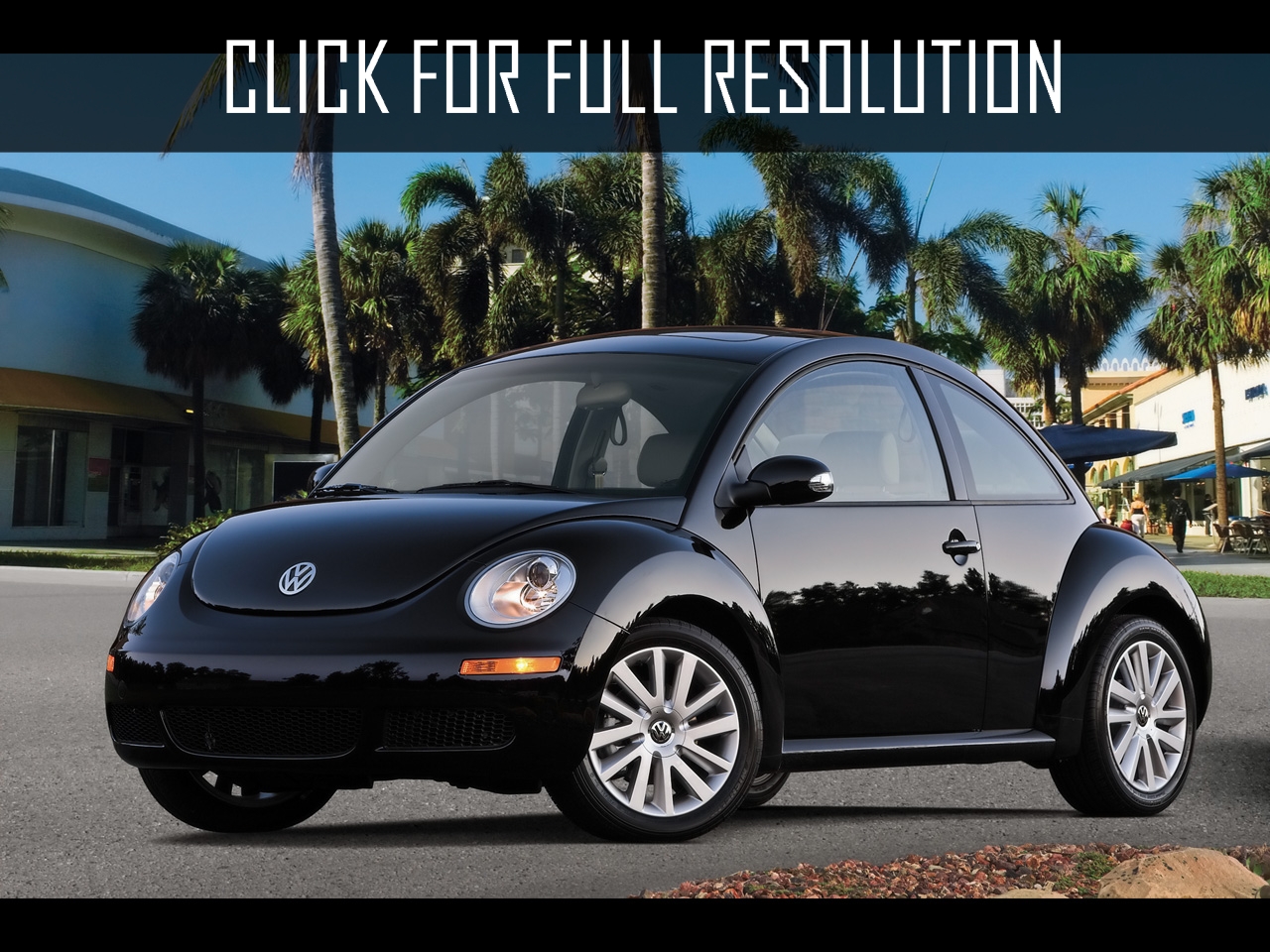 Volkswagen Beetle Black