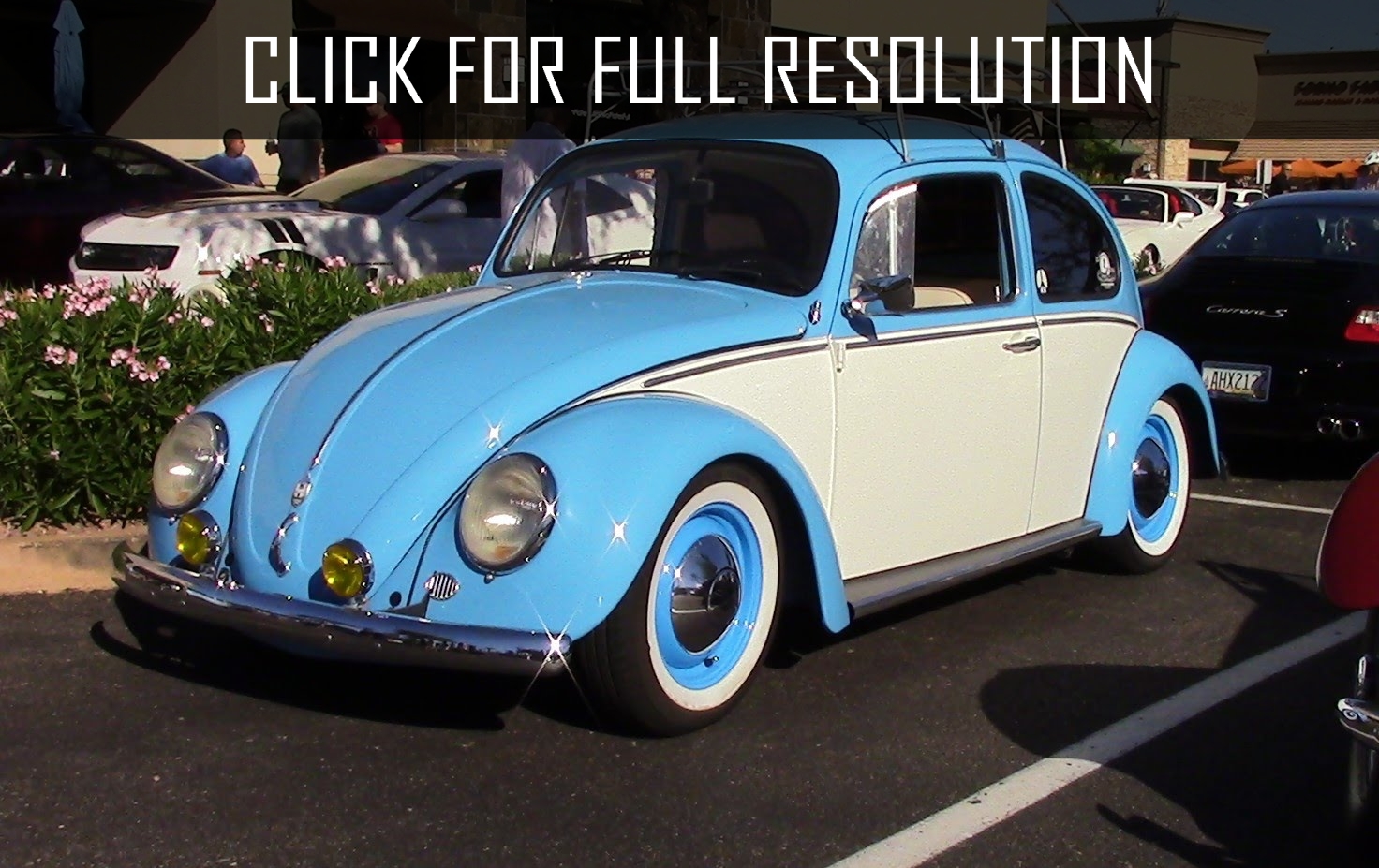 Volkswagen Beetle Light Blue